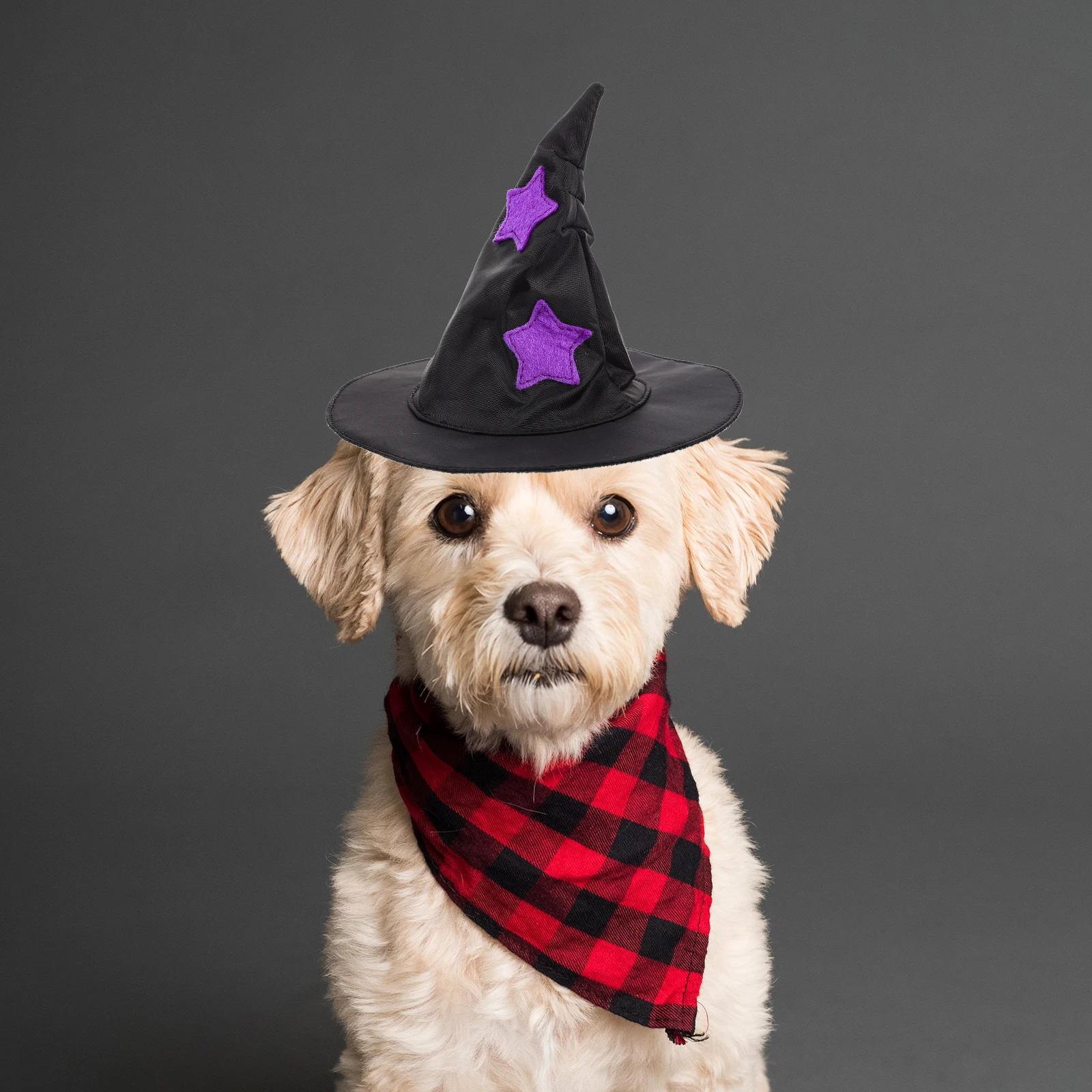 

Witch Hat Dog Costume Adjustable Pet Halloween Dogs Costumes Hats for Decoration