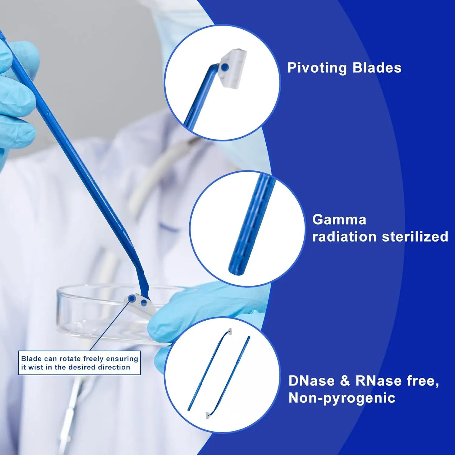 

Скребок для клеточных культур, многопозиционный скребок для клеток с ручкой 24 см, стерильный, в индивидуальной упаковке, полиэтилен, бепородный, 10 шт.