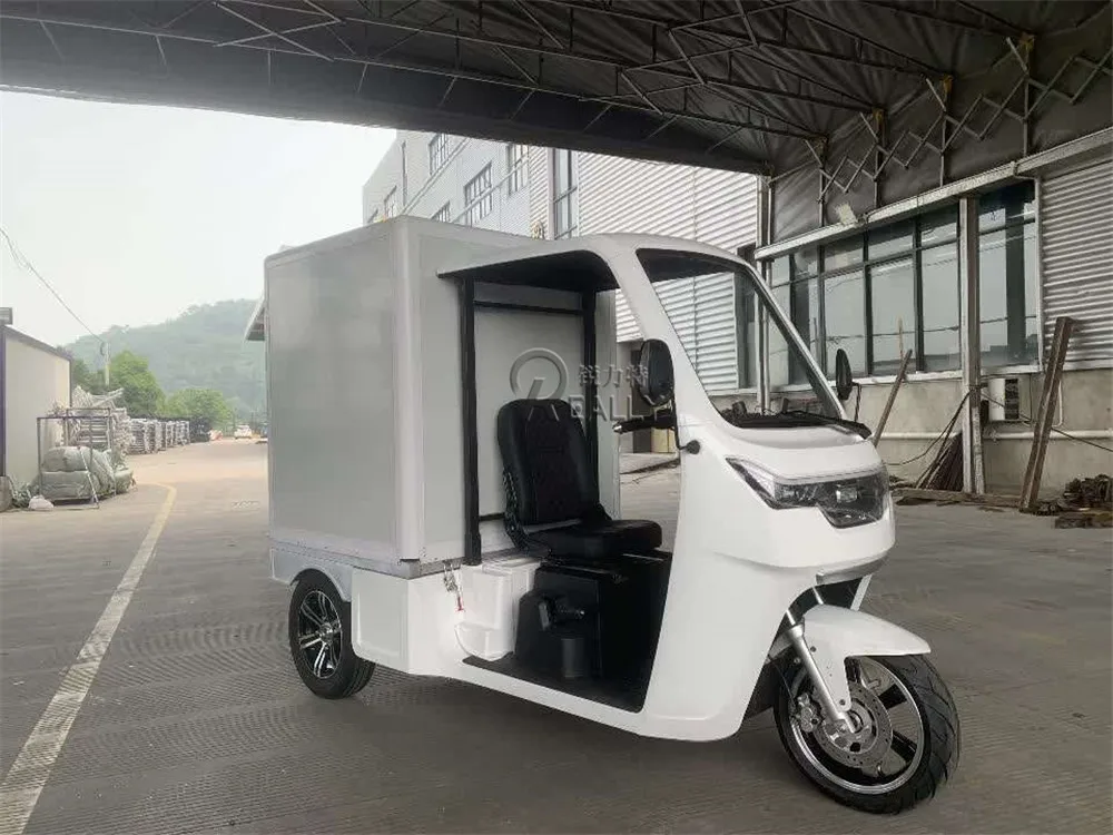 Hot Selling Electrical Transport Vehicles With Motor Electric Cargo 3 Wheels Logistics Tricycle