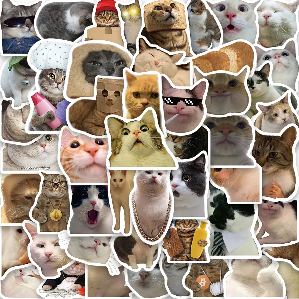 50/100PCS Funny Cute Cat MEME Stickers Animals Scrapbooking Motorcycle Notebook Luggage Laptop Skateboard Coffee Phone Sticker