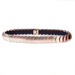 Gold and Silver Stretchy Women Waist Belt with Full Metal Piece Deco