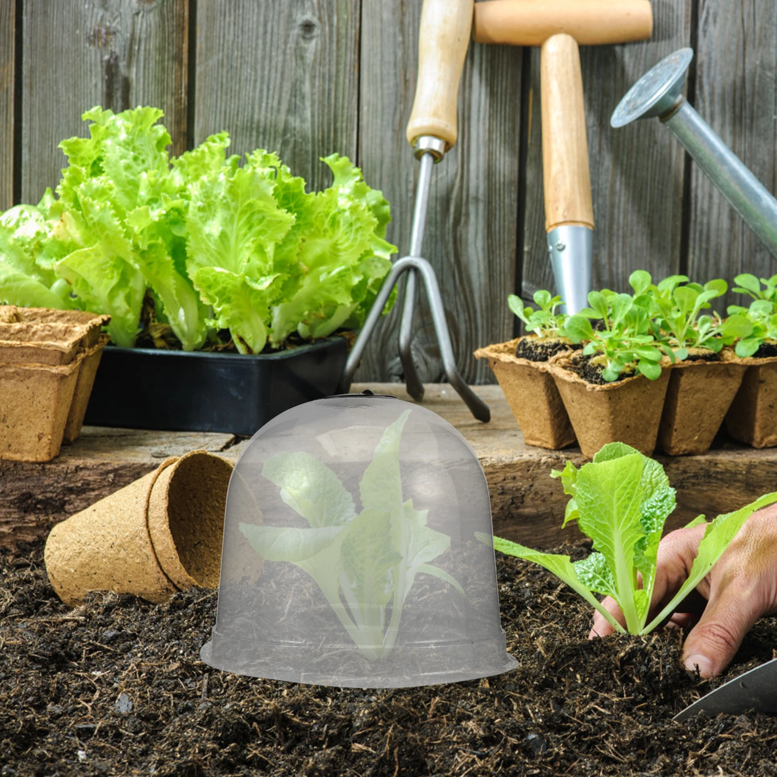 

Nursery Cover Plant Dome 26x20cm Frost Protection Humidity Domes Vegetable Garden Cloche Transparent Plant Protector