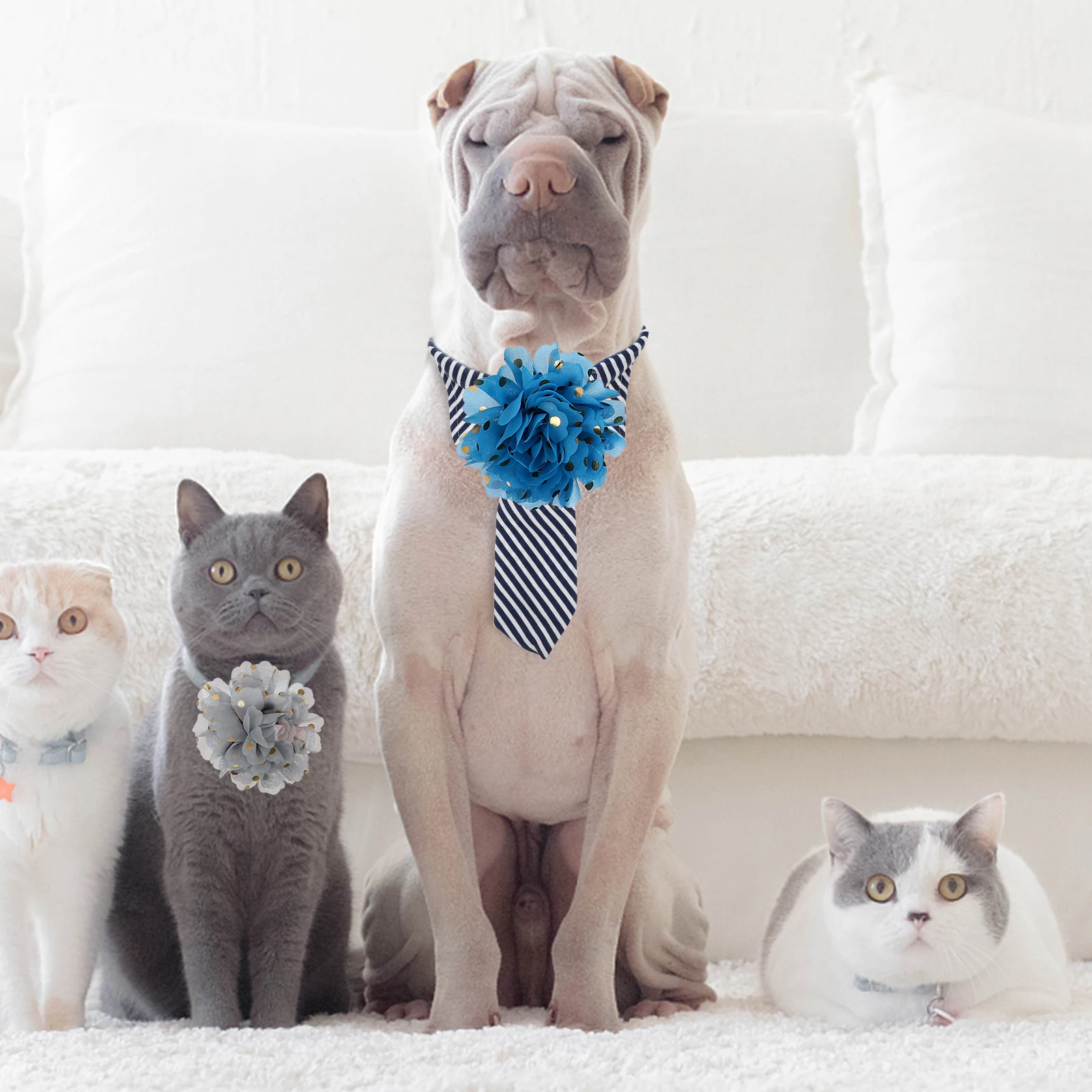 

20pcs Decorative Collar Multi-Color Chiffon Attachment Removable Dog Accessories Puppy Necktie Pet Supplies