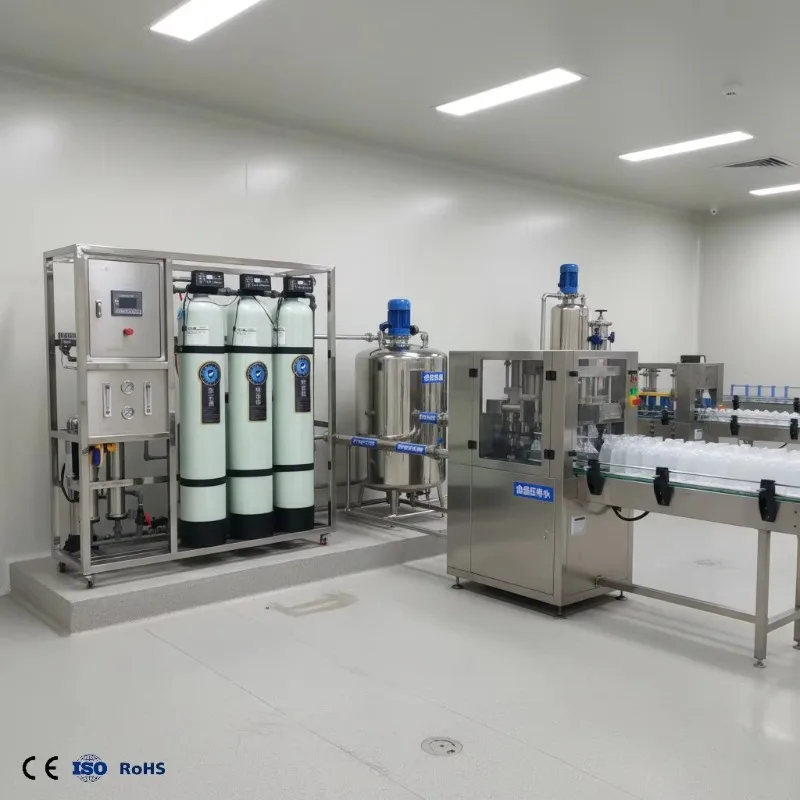 Industrial RO Water Treatment System 1000LPH 24TPD For Brewery And Beverage Factory Filtration Machine