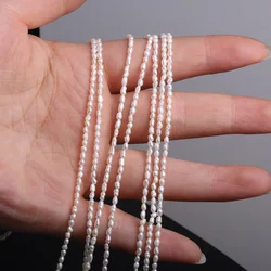 1.8-2mm 100% Natural Freshwater Pearls Small Beads White Rice Loose Spacer Beads for Jewelry Making DIY Necklace Accessories