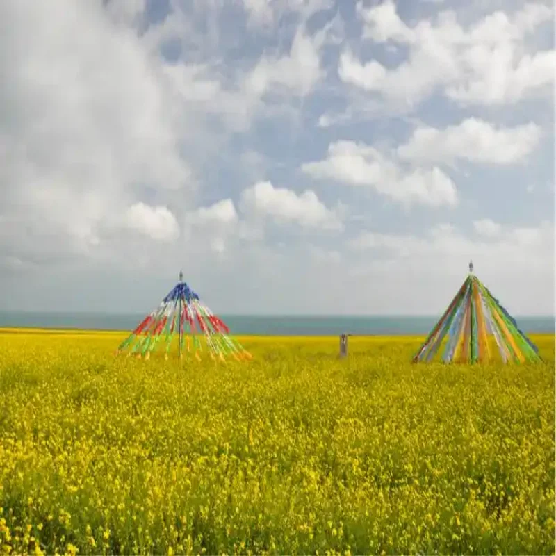 

Автомобильный аксессуар для Toyota Corolla Cross 2022: Электрический привод багажника с автоматическим подъемом, модифицированный электромотор для багажного отсека