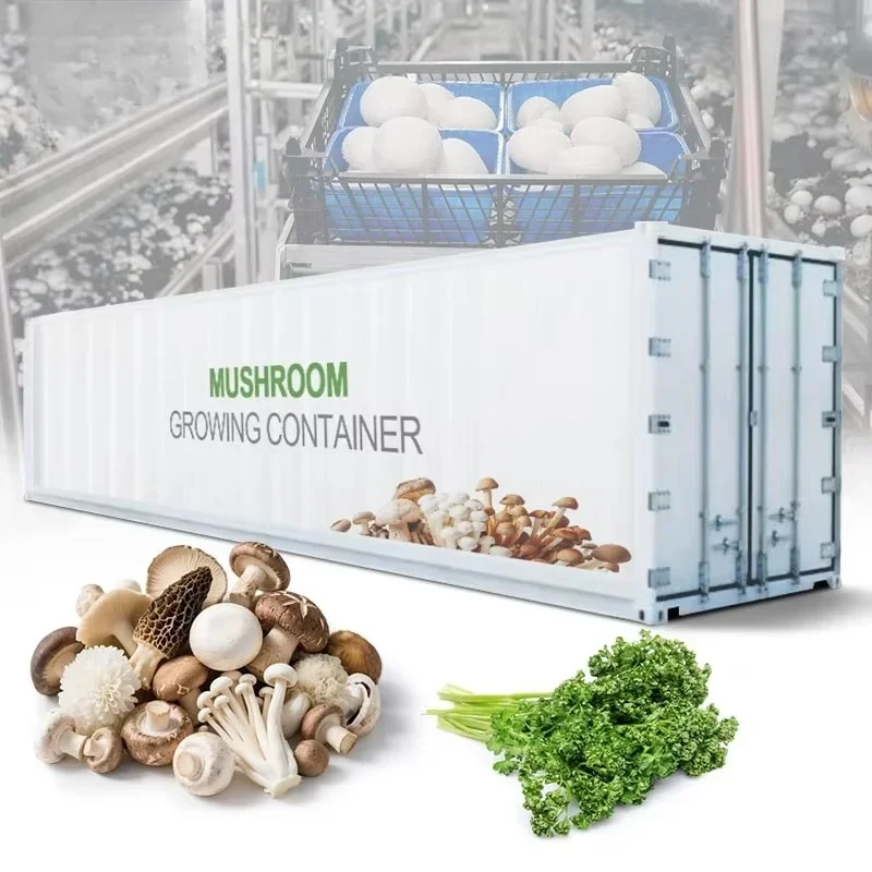 Customized 40ft Container Mushroom Growing Cabin Smart Vertical Farm Box Equipment For Commercial Indoor Mushroom