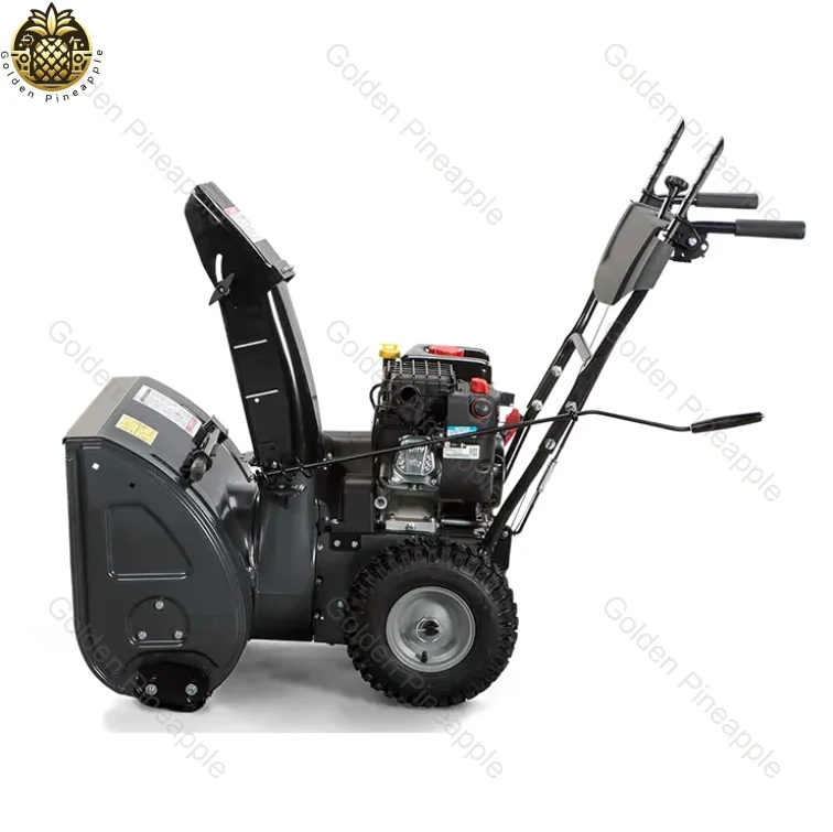 Hand - Push  - Powered Snow Remover Friction Disc Snow Dryer Small Snow Blower