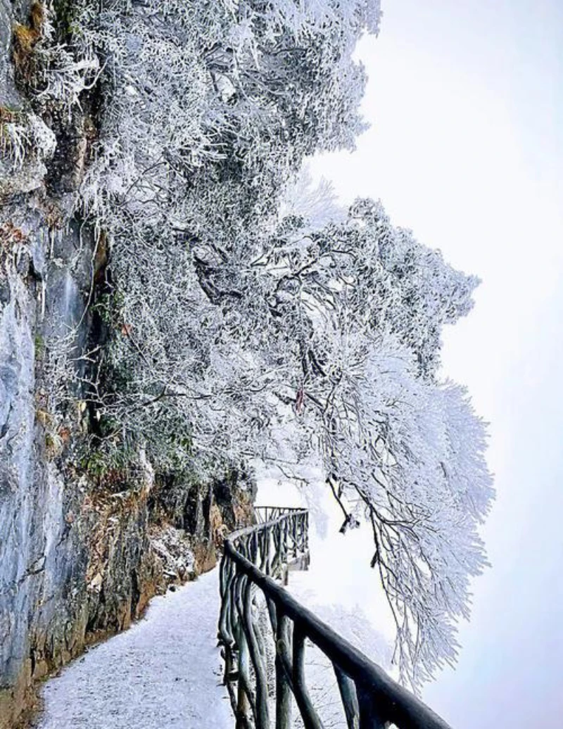 

2 шт. Защитная пленка для фар автомобиля, дымчато-черная тонировочная пленка, прозрачная виниловая наклейка из ТПУ для Audi Q8 SQ8 RSQ8 2019 2020 2021 2022