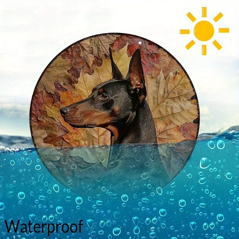 لافتة ألومنيوم مستديرة مقاس 8 × 8 بوصة: لوحة فنية جدارية من دوبيرمان بينشر ذات أوراق مجففة - مقاومة للماء والأشعة فوق البنفسجية لديكور المنزل #3