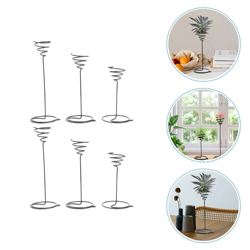 6 Pcs High Foot Spiral Plant Stand Black Metal Rack for Air Plants Home Office Display Shelves Strong Bearing Capacity