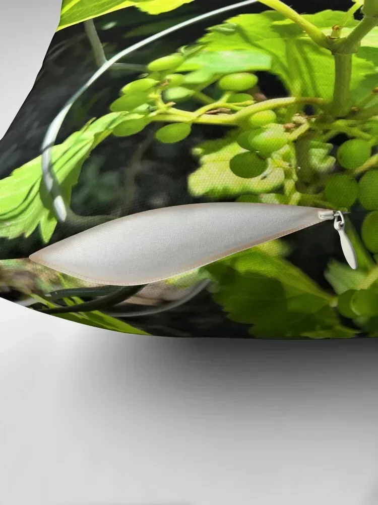 Grapes on the Vine Throw Pillow autumn decoration Decorative pillow case luxury sofa pillows Custom Cushion pillow