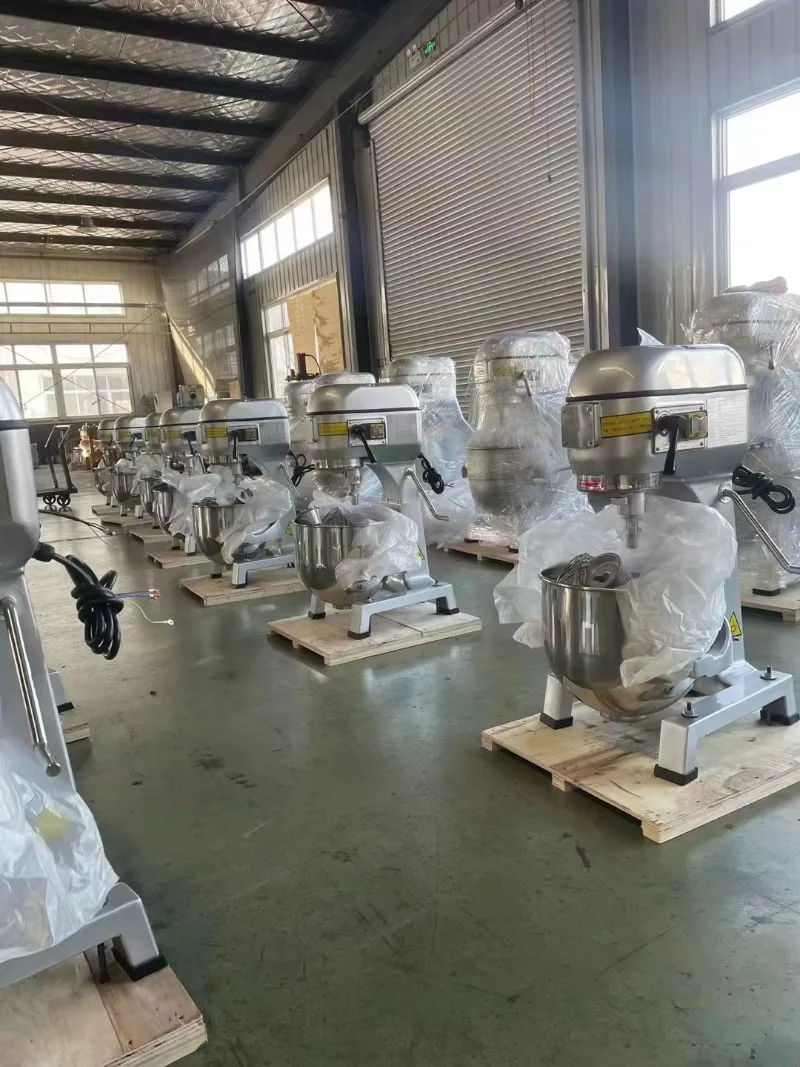 Custom 20L 50L Spiral Dough Mixer Double Action Bread Dough Machine 220V 380V Stainless Steel Commercial Grade