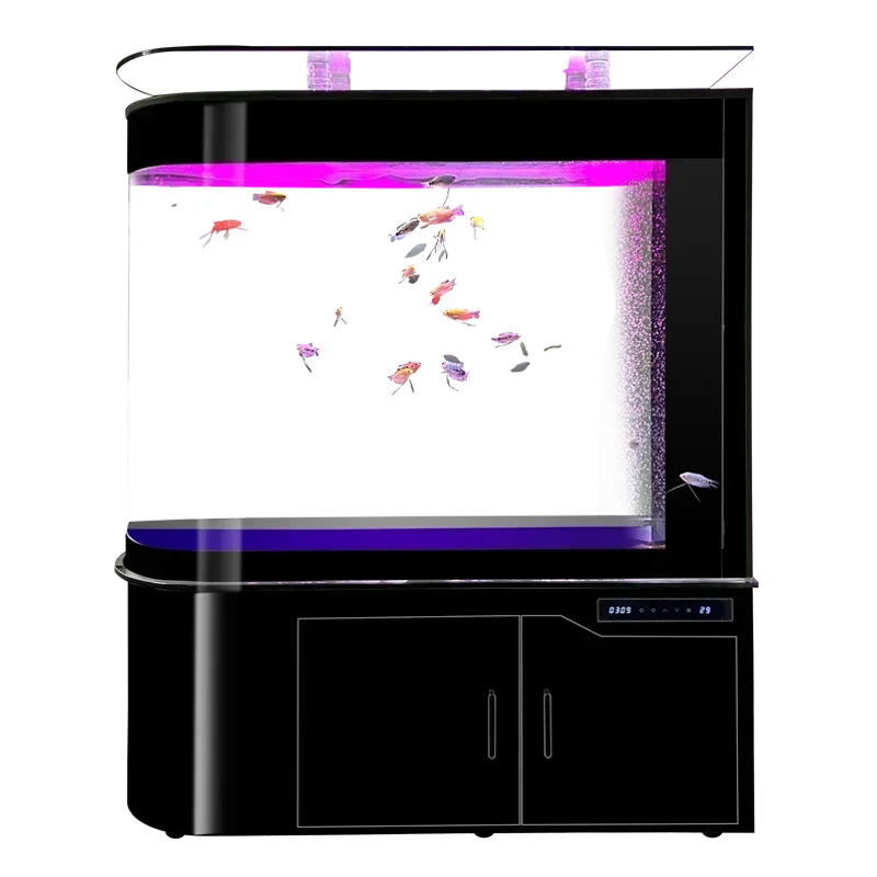Modern Simple New Household Bottom Filter Circulation Fish Tank Dry Wet Separation Change Water Dragon Fish Tank