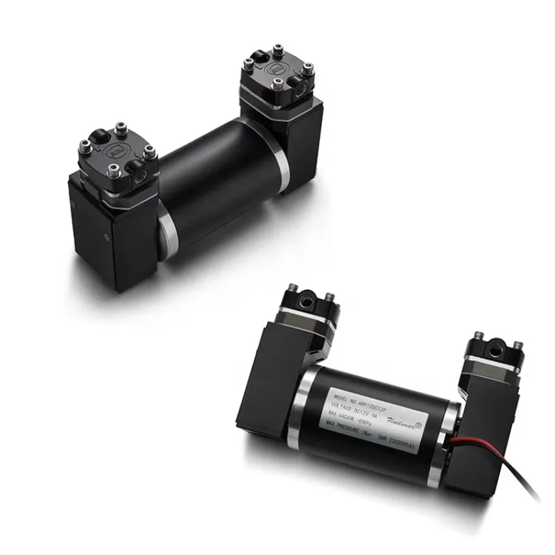 

ARP12DC12P Микродпоршневой вакуумный насос с двойной головкой Безмасляный воздушный компрессорный насос для химической лаборатории