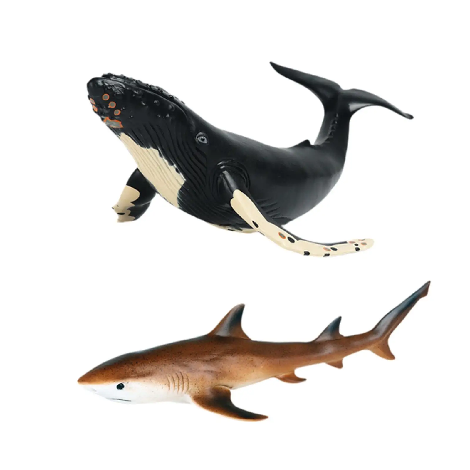 

Realistic Animal Figures Model Beach Toy Party Favor Collectible Marine Life