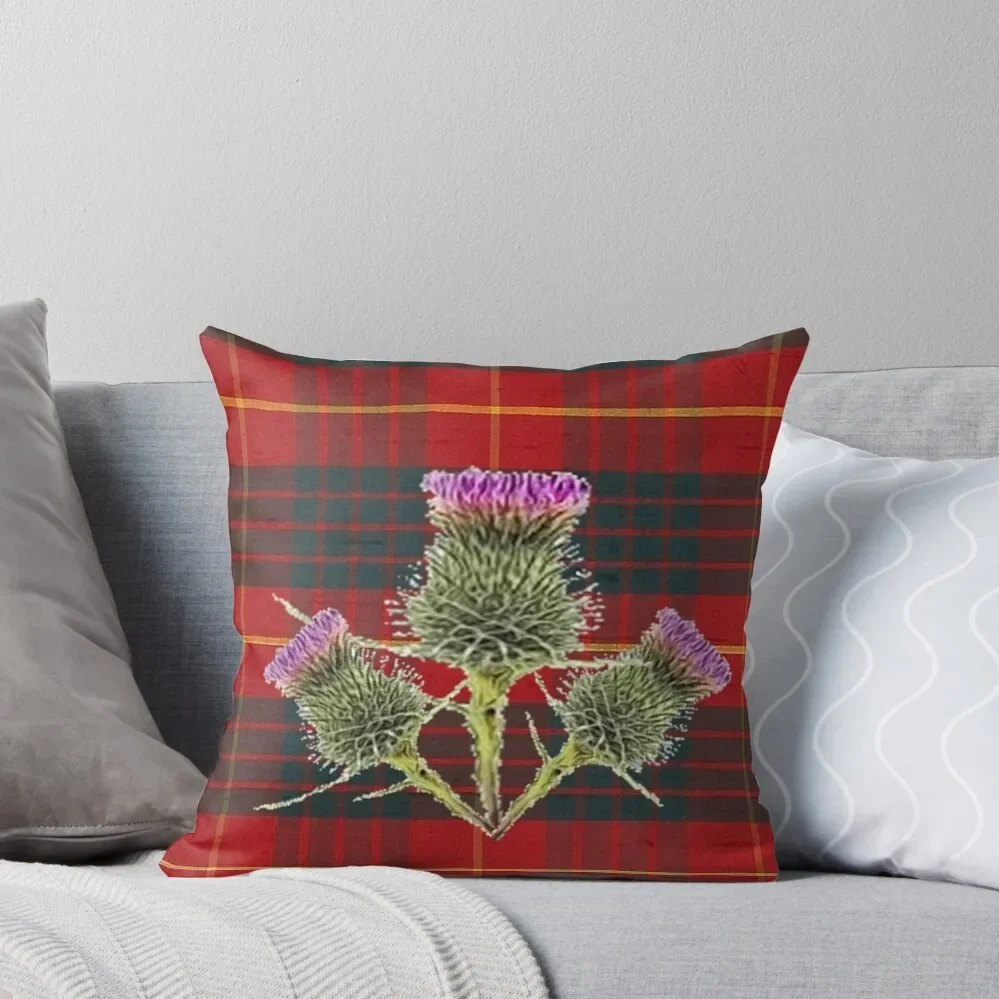 SCOTTISH THISTLES ON CAMERON CLAN TARTAN Throw Pillow Decorative Cushions For Luxury Sofa Sitting Cushion Pillow