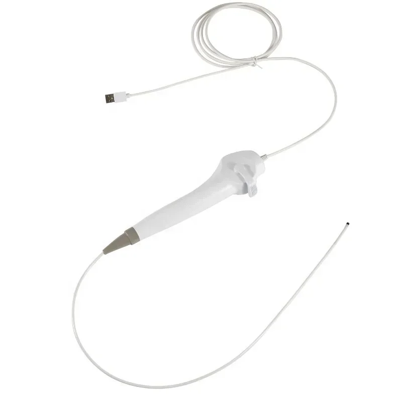 Besdata rhinolaryngoscopie usb rhinolaryngoscope flexible à usage unique pour rhinolaryngoscop ent 3,2mm