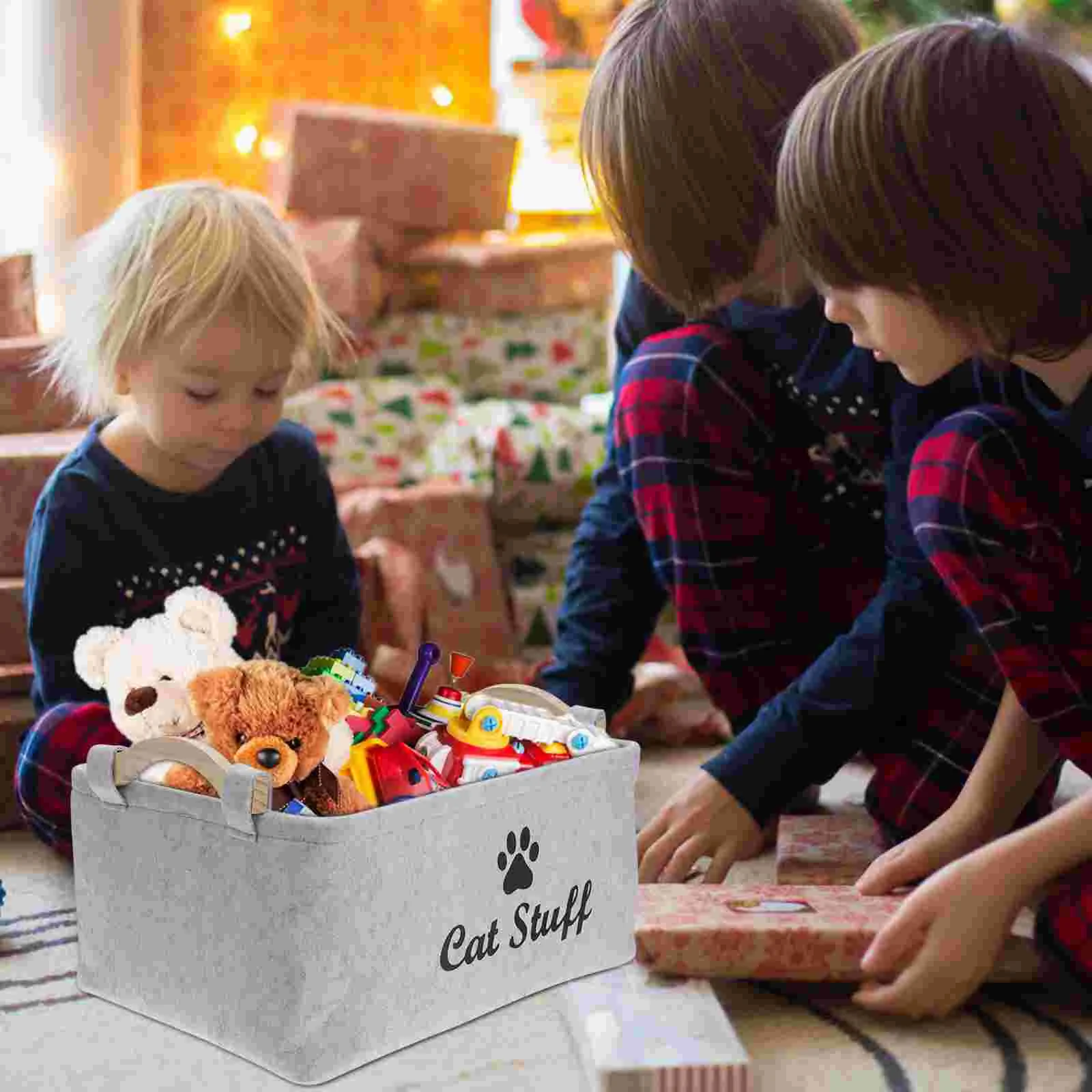 Boîte de rangement pour animaux de compagnie, conteneur de matériaux de qualité supérieure, panier à bijoux, panier à vêtements, étui à jouets, questionFoy