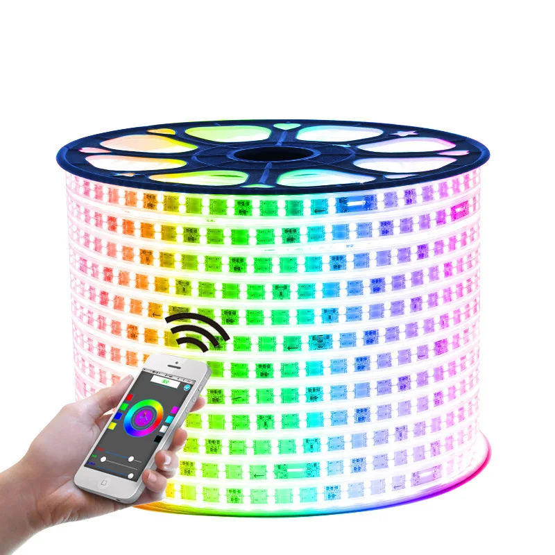 220v LED Strip Light RGB SMD 5050 with 44 Keys / Mobile phone control Flexible Ribbon Waterproof Diode Tape Led Lights EU plug