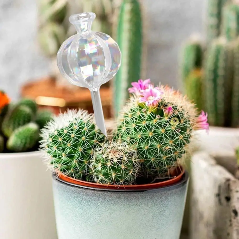 الصبار الصبار الذاتي سقي زارع التلقائي لطيف التلقائي سقي النباتات لمبات الزجاج وعاء مياه النبات مصابيح زجاجية داخلي #3