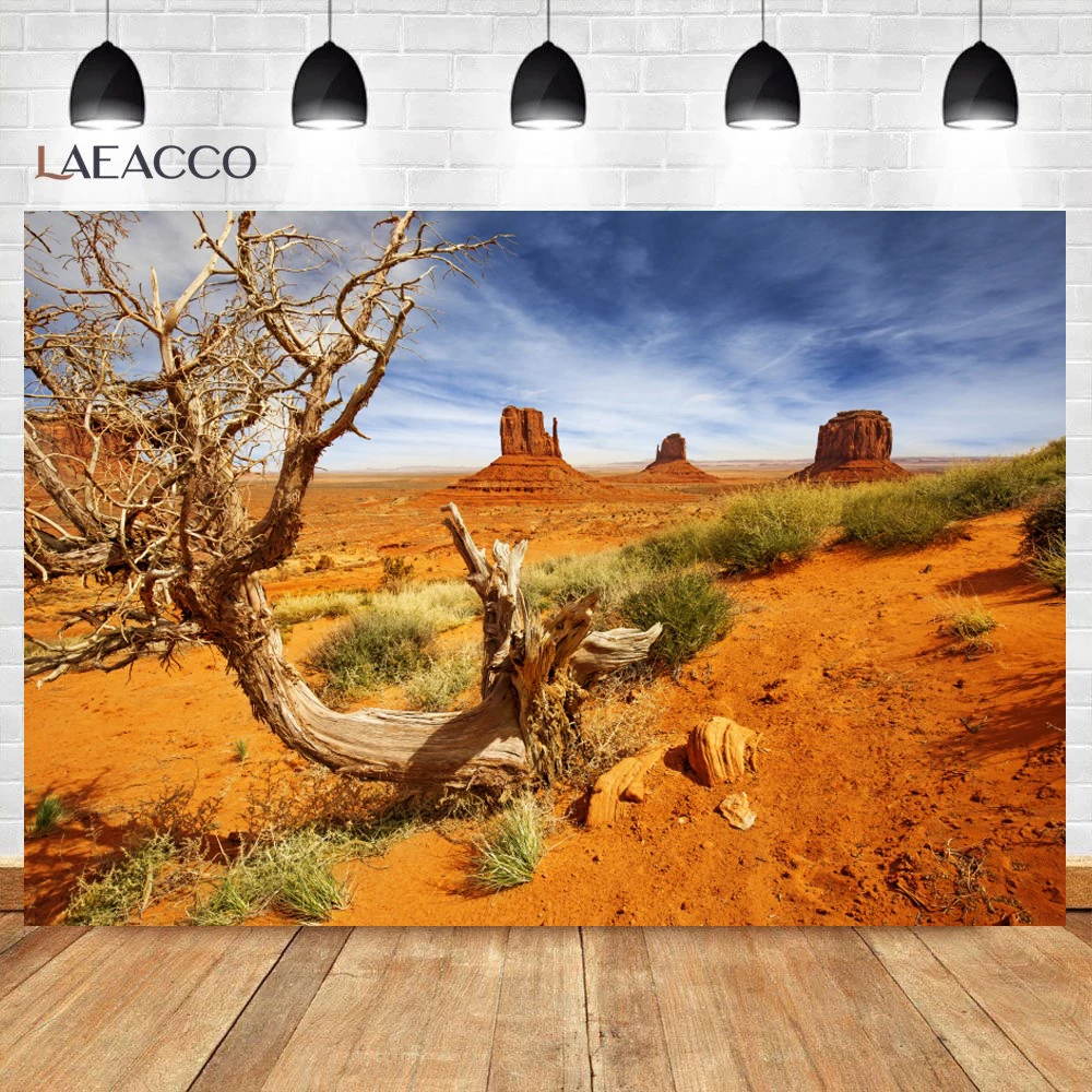 Laeacco Nature Backgrounds Cactus Desert Sunset Shrub Stone Aurora Scenic Photographic Backdrops Photocall Photo Studio