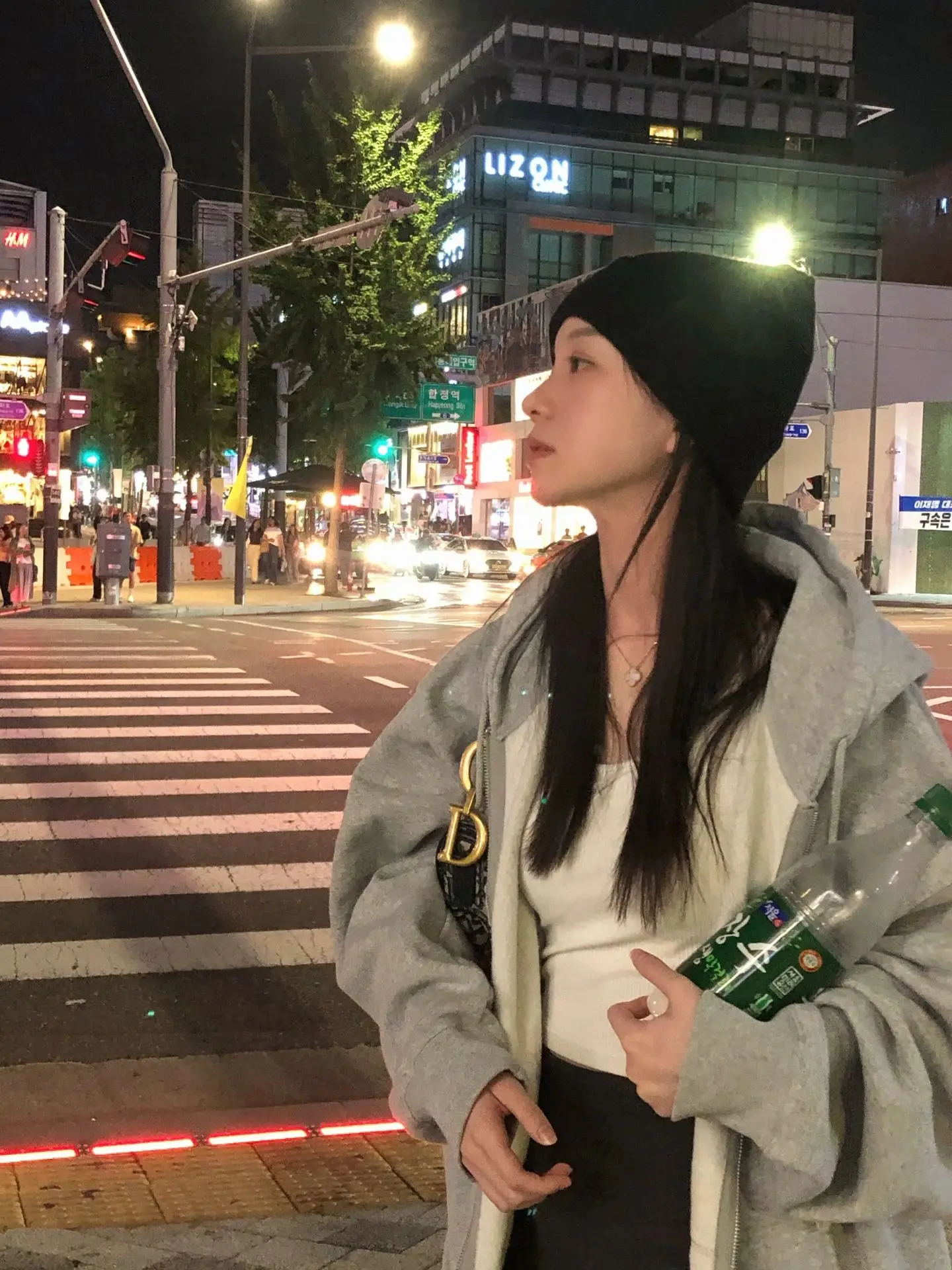 Sakura Model Korean Style Grey Classic Loose Women's Hooded Open Cardigan Sweatshirt Casual Outerwear Comfortable Streetwear