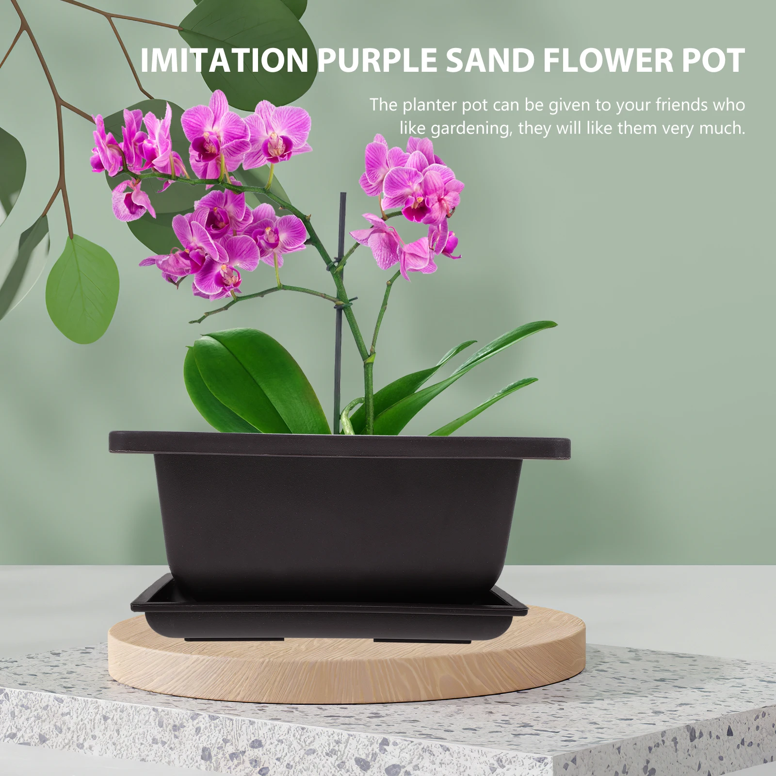 

2 Sets Pots for Plants Succulent Flower Small Bonsai Nursery Tray Cactus Container Tree Planter Office