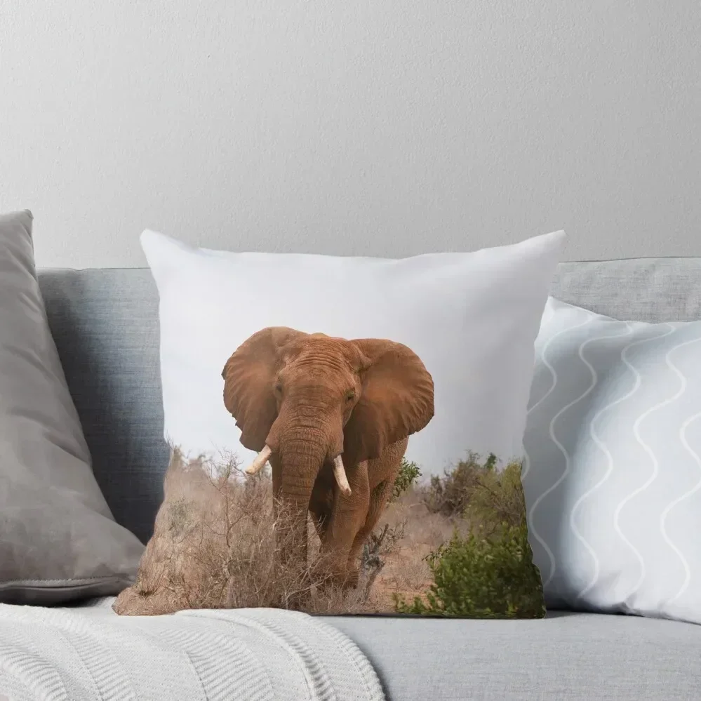 

African Elephant Throw Pillow Luxury Pillow Case Decorative pillowcase Sofa Cushion Cover pillow