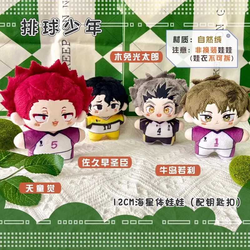 12cm Ushijima Wakatoshi muñecos de peluche colgantes Mini llavero suave bolsa Haikyuu Kotaro Bokuto muñeco de peluche juguetes niños regalo de vacaciones
