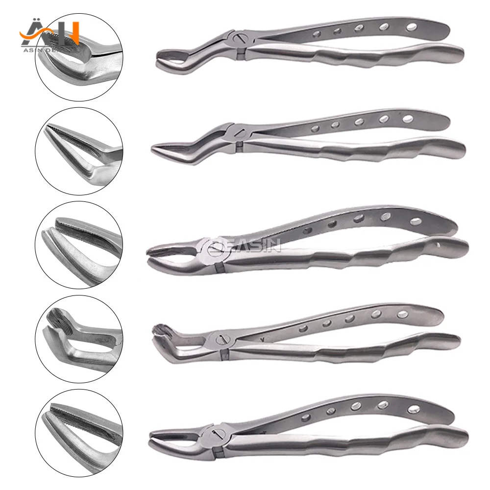 10pcs/set High Quality Dental Adult Tooth Extraction Plier Forcep Teeth Extraction Plier Forcep Dental Surgical Tool Instrument