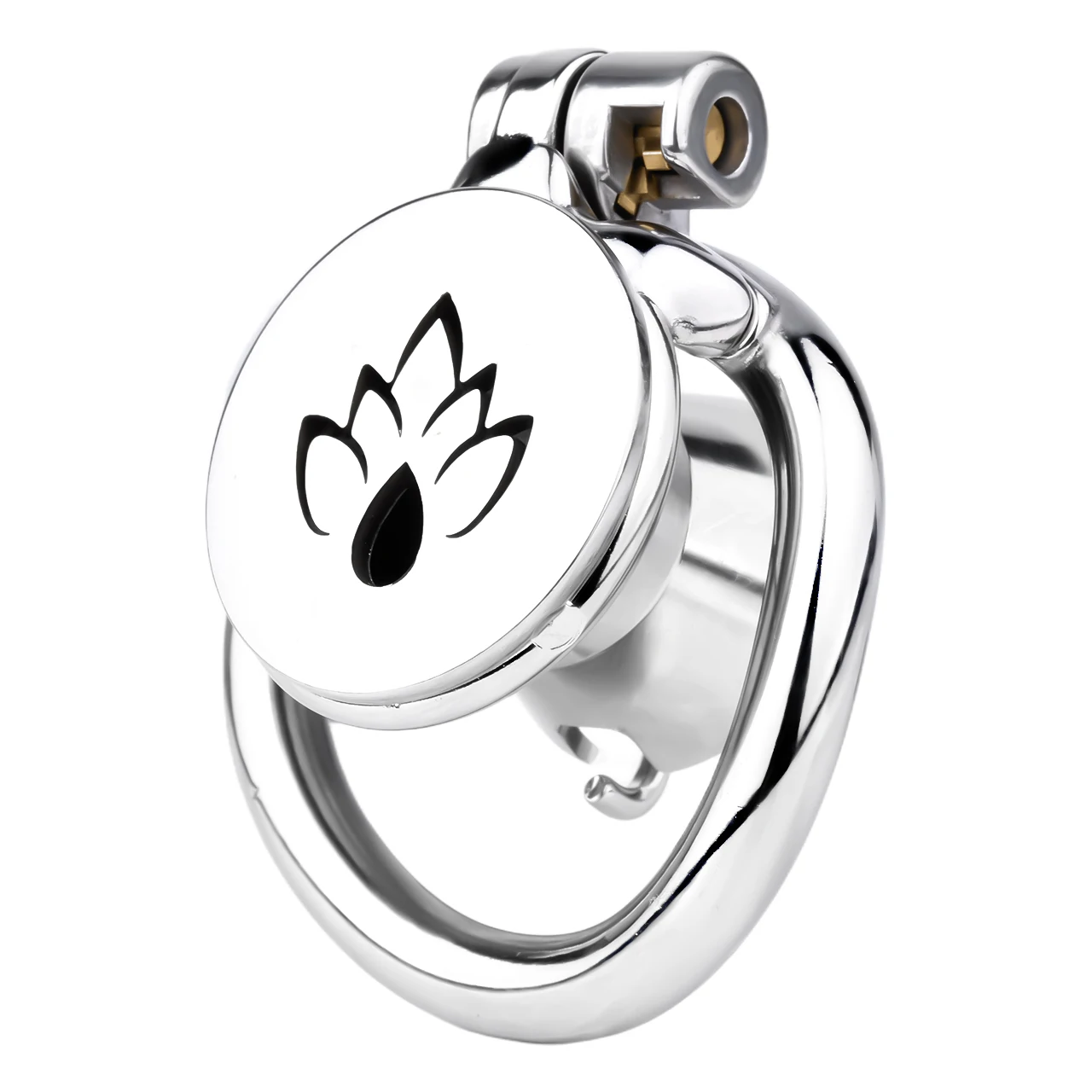 LEZEE Male Chastity Cage Device Flat Cock Cages Chastity Belt PA Penis Ring Locking Adult BDSM Sex Toys For Men Gay Couple image 3