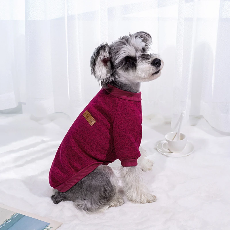 Warm Winter Dog Sweatshirt 4