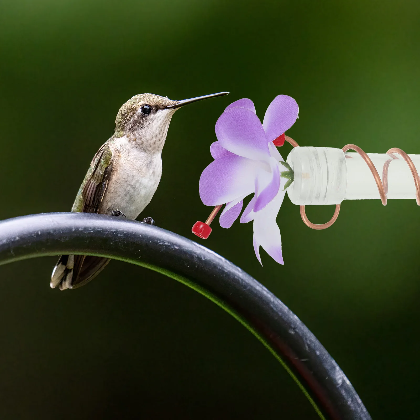 

Hummingbird Feeder Suction Cup Hanging Bird Feeding Tool Durable Exquisite Workmanship Nature Observation Hummingbird Feeder