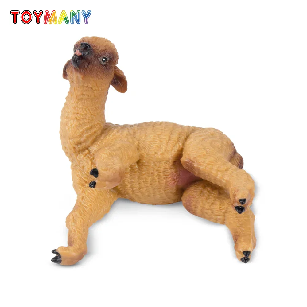 

Toymany Simulation Lying Brown Alpaca Baby Wildlife Animal Model Toy Mini Figures Dolls Action Figurines Toys Children Gift