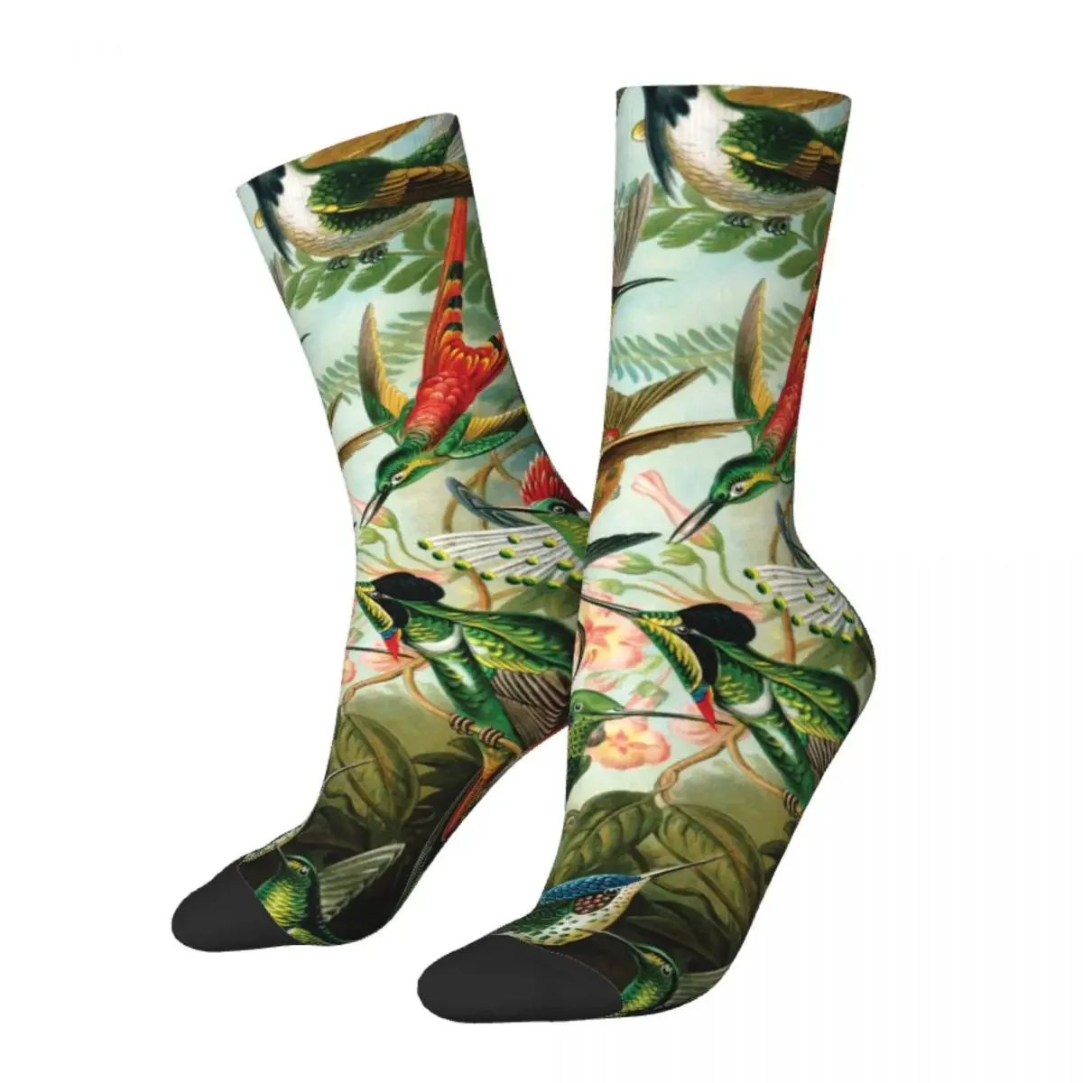 

Autumn Winter Fashion Unisex Hummingbirds By Ernst Haeckel Socks Breathable Novelty Street Style Crazy Sports Socks