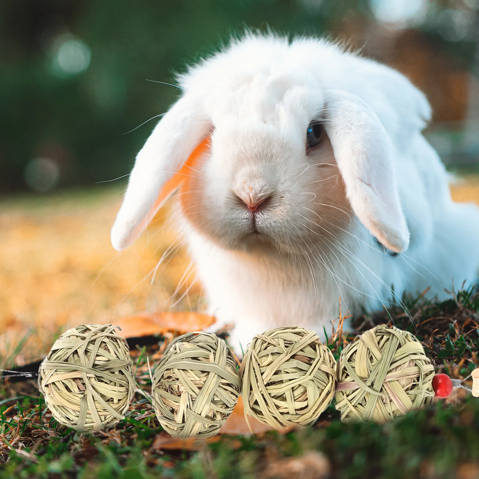 

2 Pcs Grass Ball Lantern String Rabbit Guinea Pig Balls Hamster Accessories Bunny Chew Toys Chinchilla Toys Hedgehogs Pet Dental