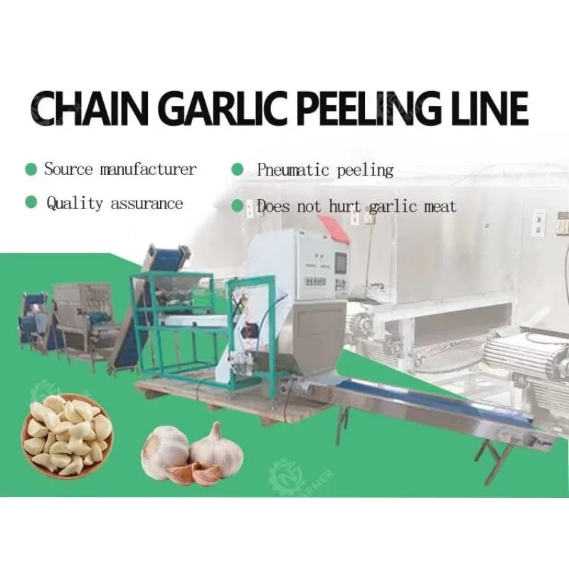 Small Scale Investment Business Garlic Peeler Chain Type Peeled Garlic  Garlic Peeling Machine