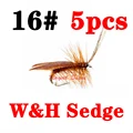 WH sedge