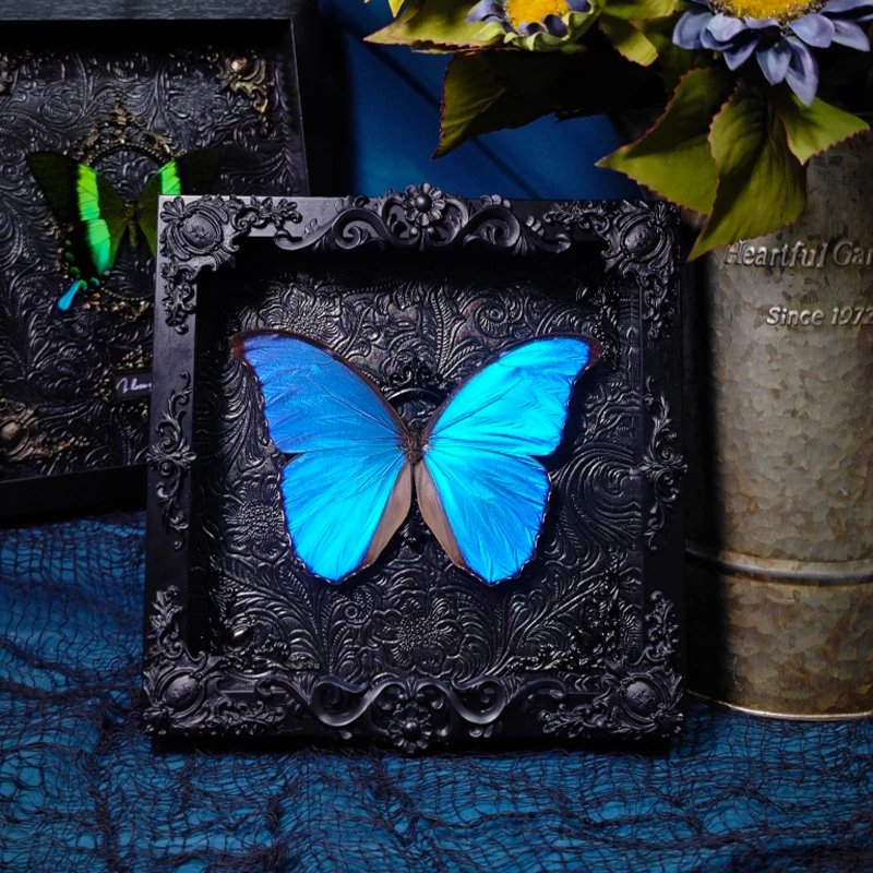 

2061 Original Photo Frame Butterfly Room Home Decoration Insect Specimen Hanging Painting Valentine Birthday Commemorative Gift