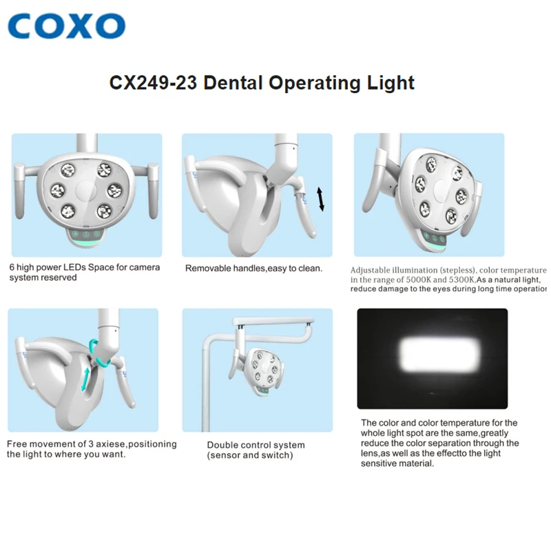 Coxo CX249-23 Denta… - image