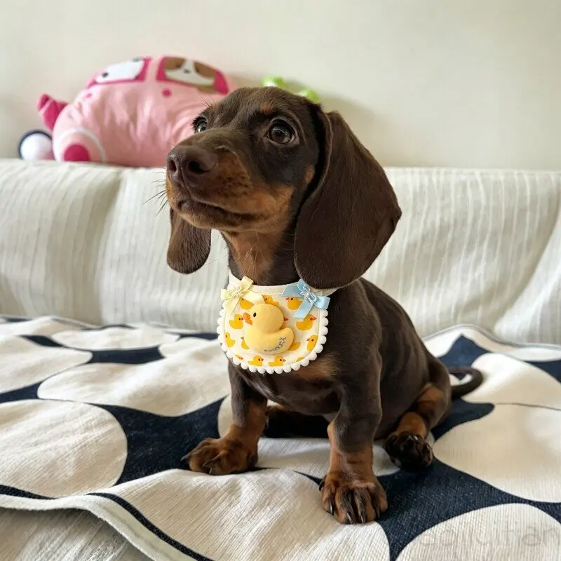 Babero ajustable de algodón para perros salchicha y gatos - imagen 5