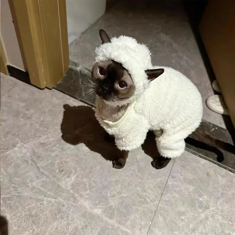 Bild 5: Winter Sphynx Katzenkleidung, verdickter warmer vierbeiniger Pullover, Katzenmantel, Lamm, doppelseitiger Samt-Haustierpyjama für Devon Rex