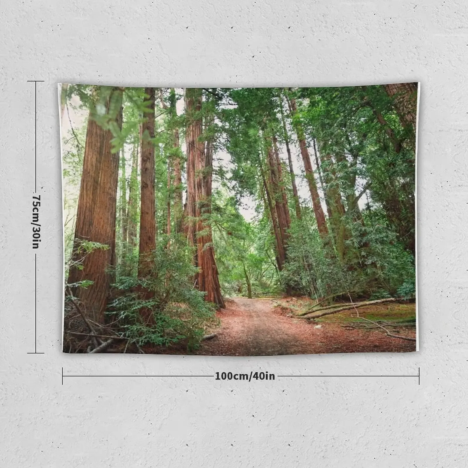 Muir Wood Redwoods Tapestry Aesthetics For Room Wall Mural Tapestry