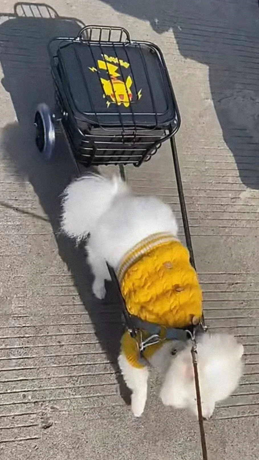 Small Dog Trailer Dog Small Pull Cart Puppy Toy Car