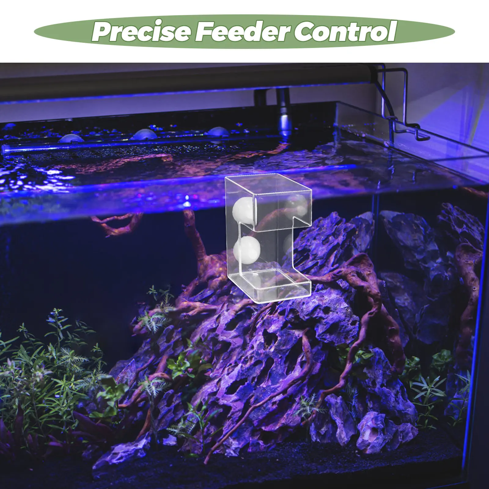 Aquarium Acrylic Fish Feeder F - Aquarium Fish Feeder Automatic review and price