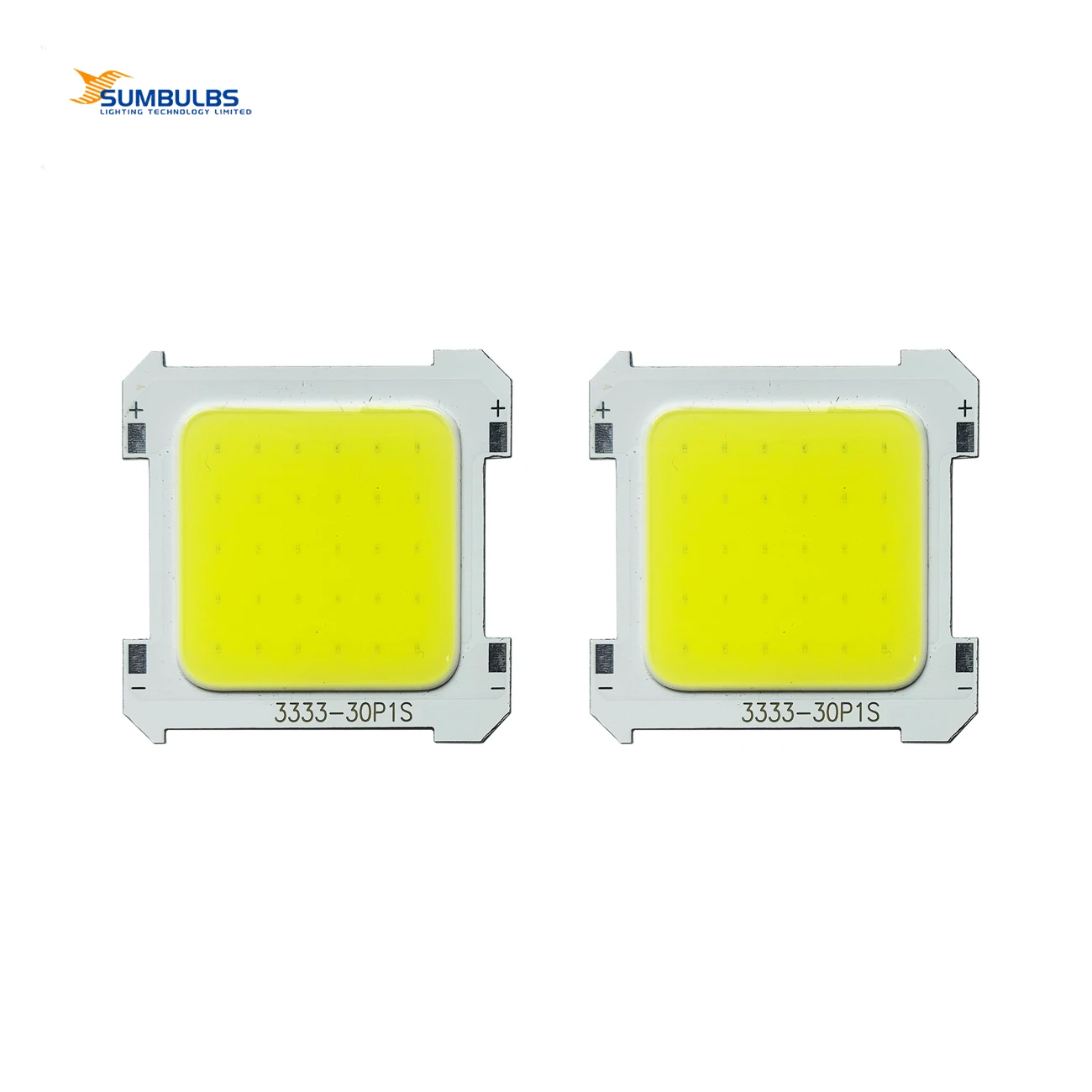 2PCS Packing White Color Integrated COB LED 5W 3V High Brightness for Spotlight Light Portable Camping Light LED Accessories
