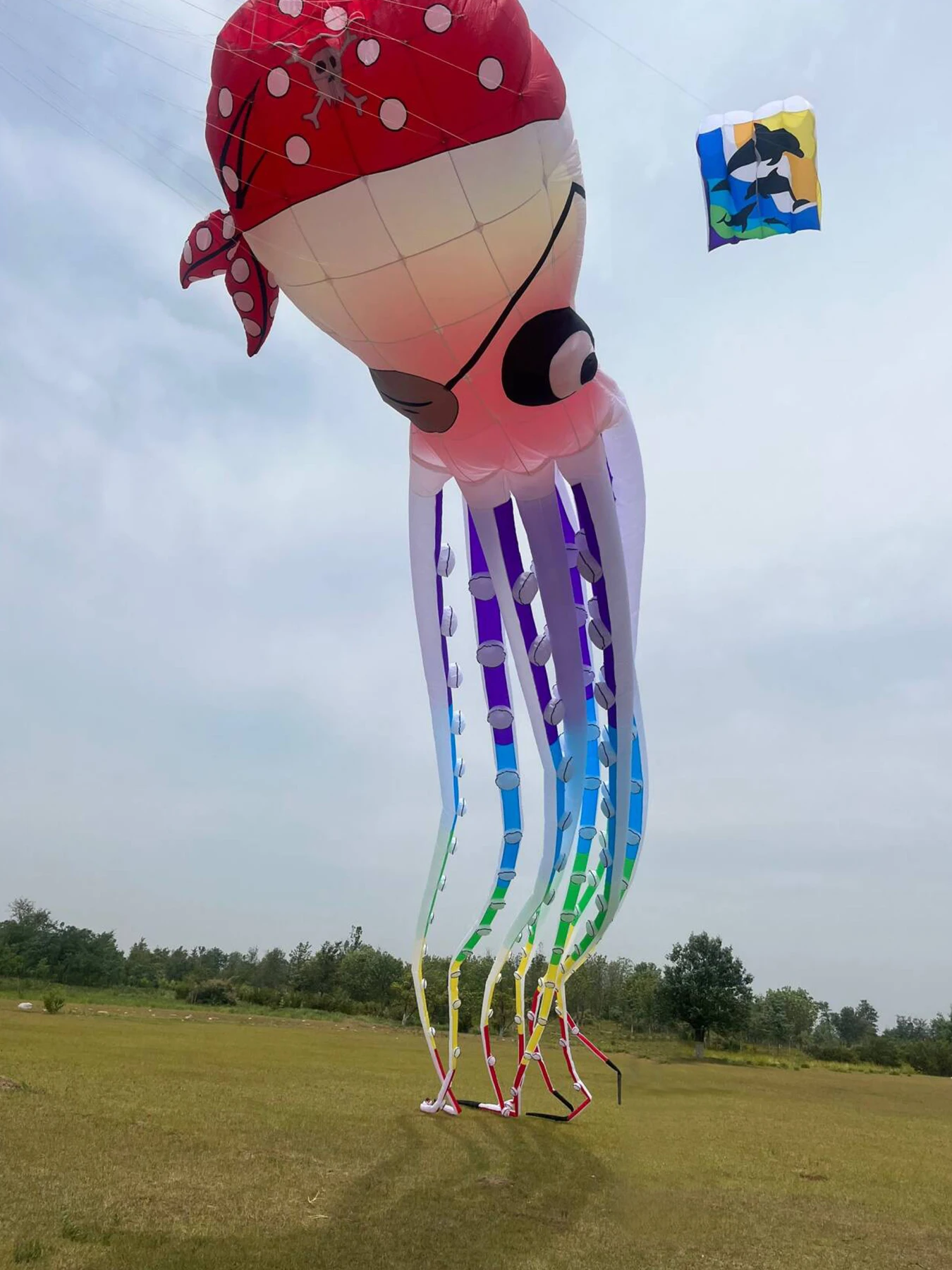 9KM 20m Piraat Octopus Kite Line Wasserij Hanger Zachte Opblaasbare Show Kite voor Kite Festival Ripstop Nylon met tas