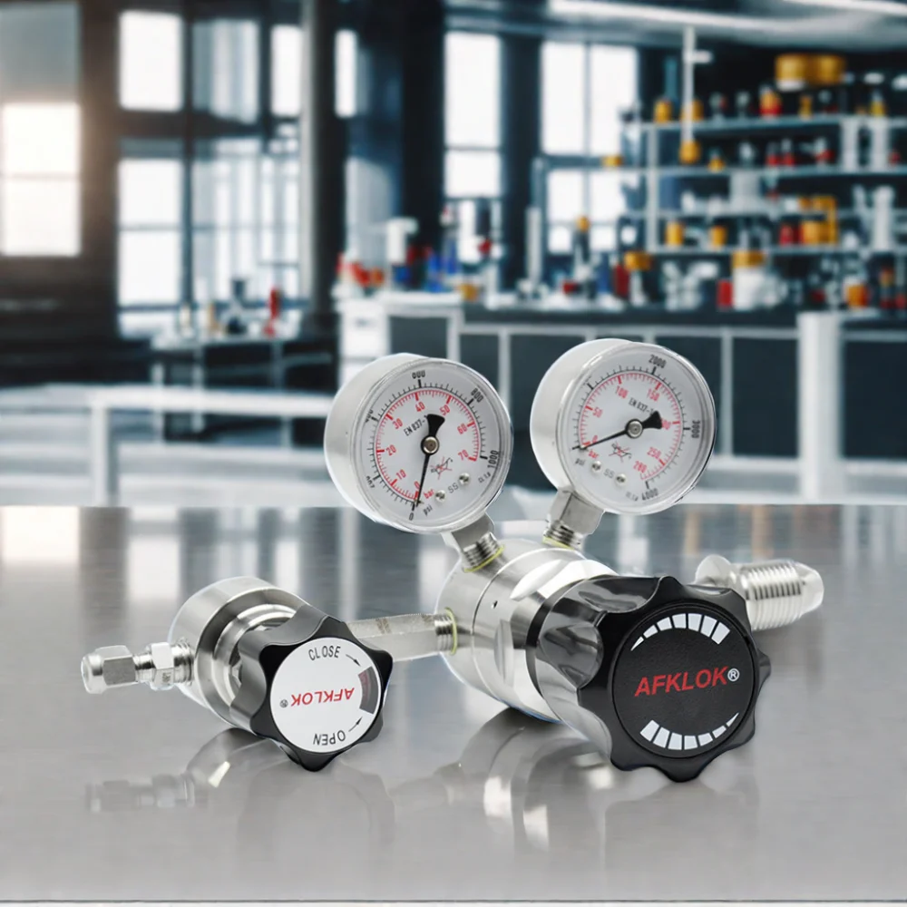 

High-Pressure 6000 Psi Stainless Steel Gas Regulator Corrotive Standard Laboratory Cylinder with Safety Valve