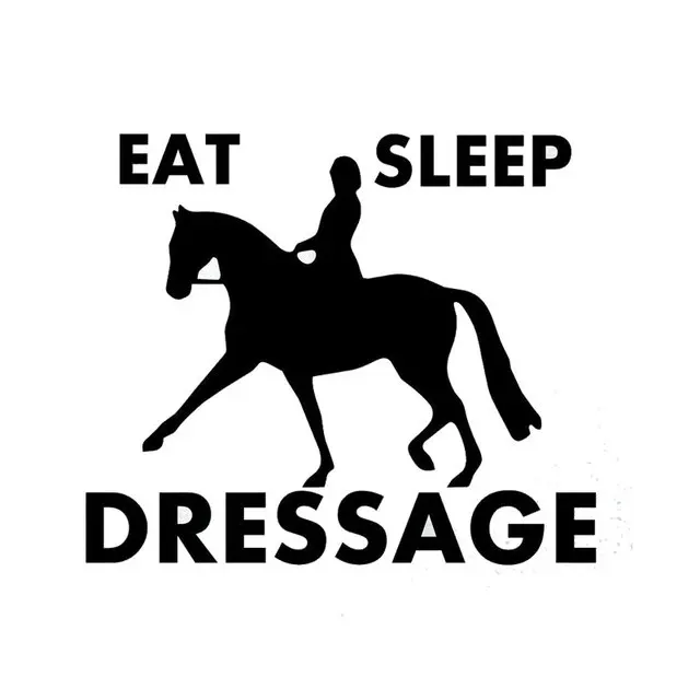 

Personaliy Interesting Car Styling Sleep Dressage Eat Personality Fashion Vinyl PVC Car Stickers Window Windshield Accessorie